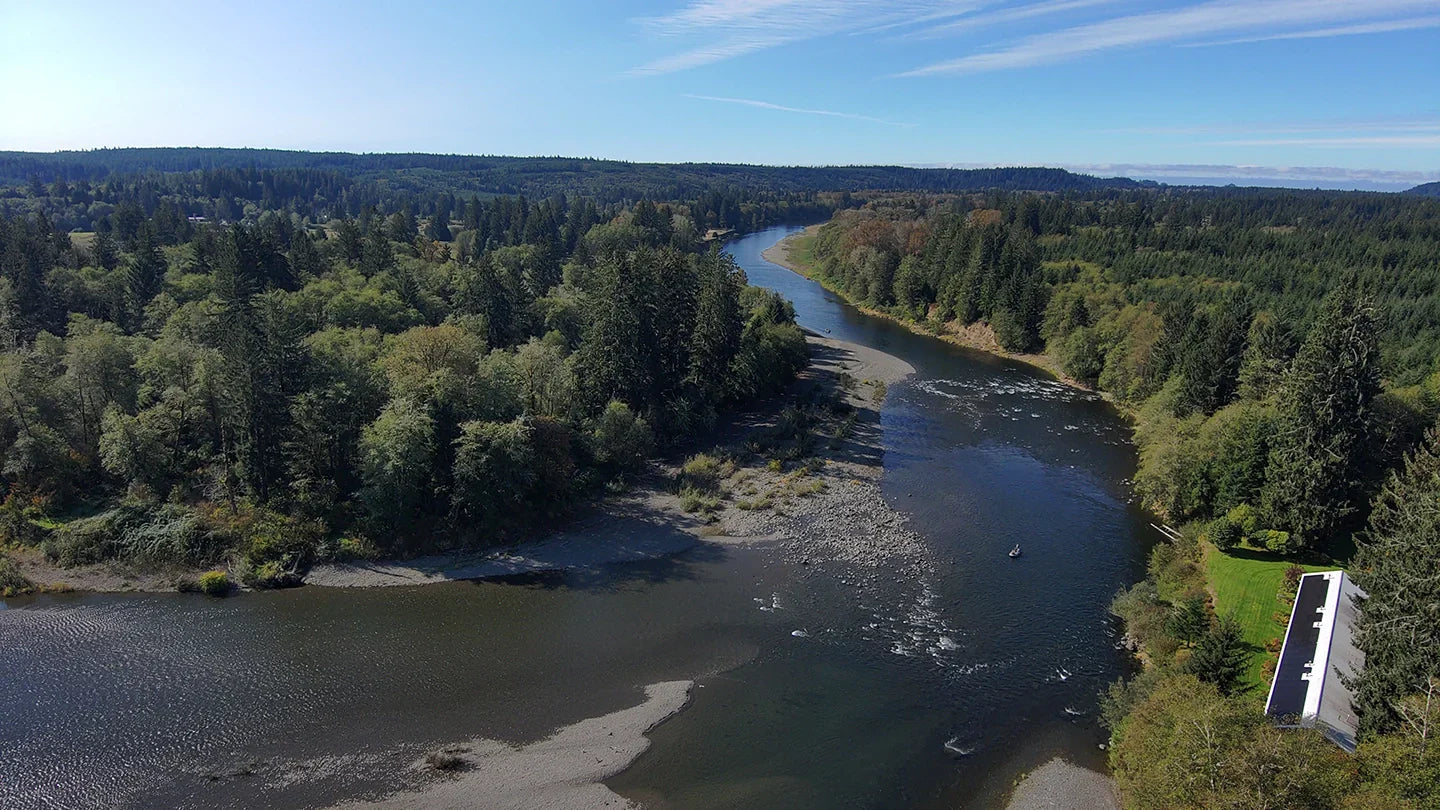 Bogachiel River Fishing