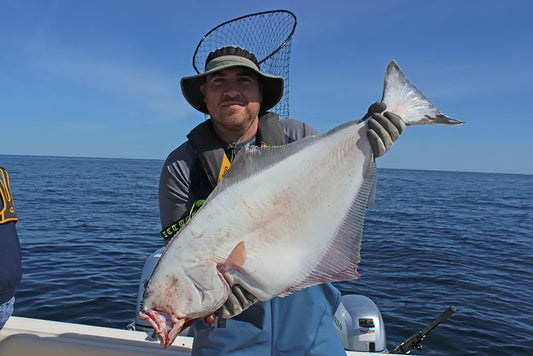 Halibut Rigging: Plastic Grub & Spreader Bar Setup