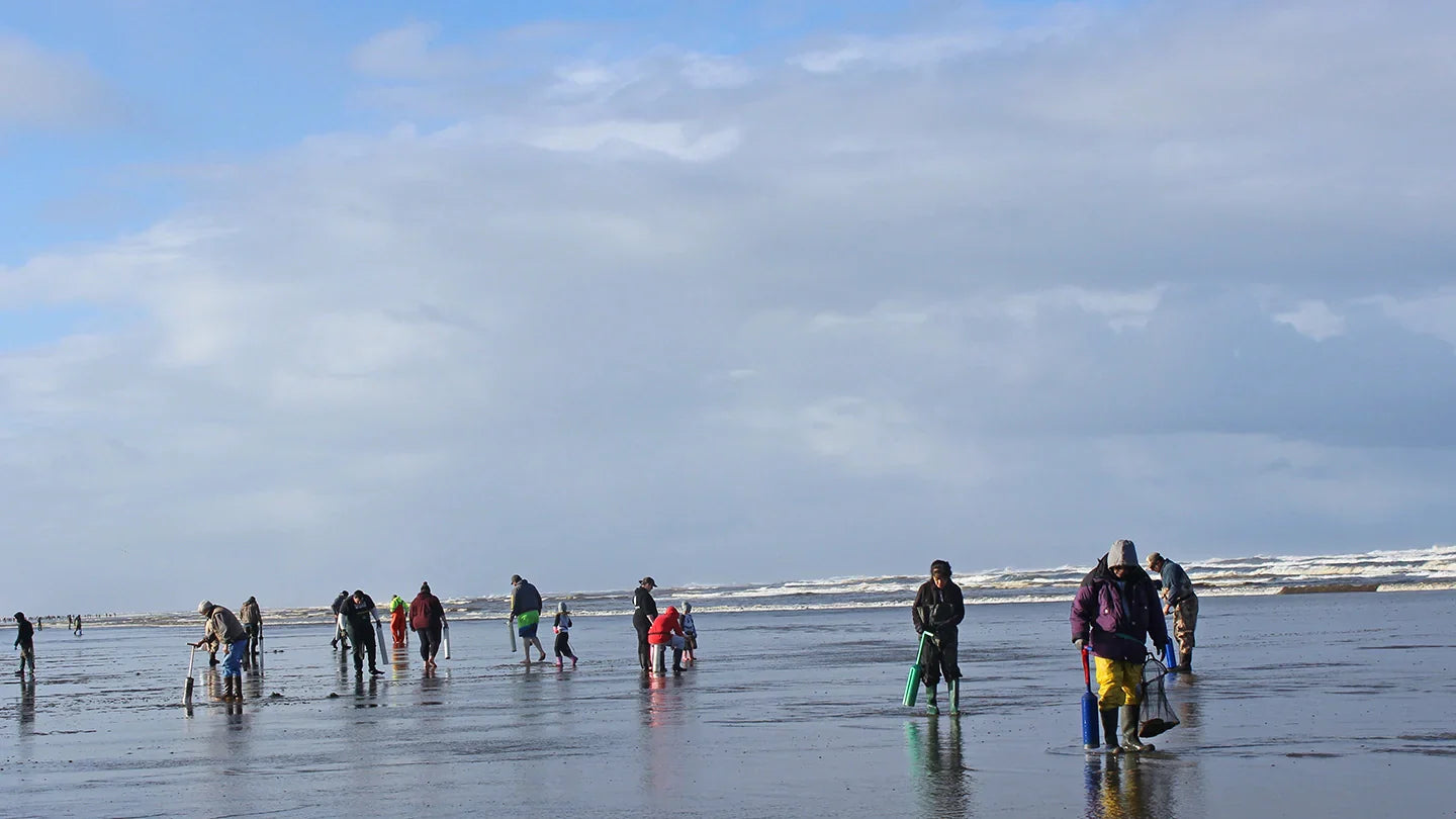 Ocean Shores 2026 Razor Clam & Seafood Festival March 20-22