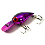 Brad's Wigglers