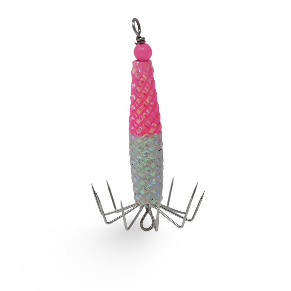 Squid