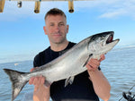 Salmon (Saltwater)