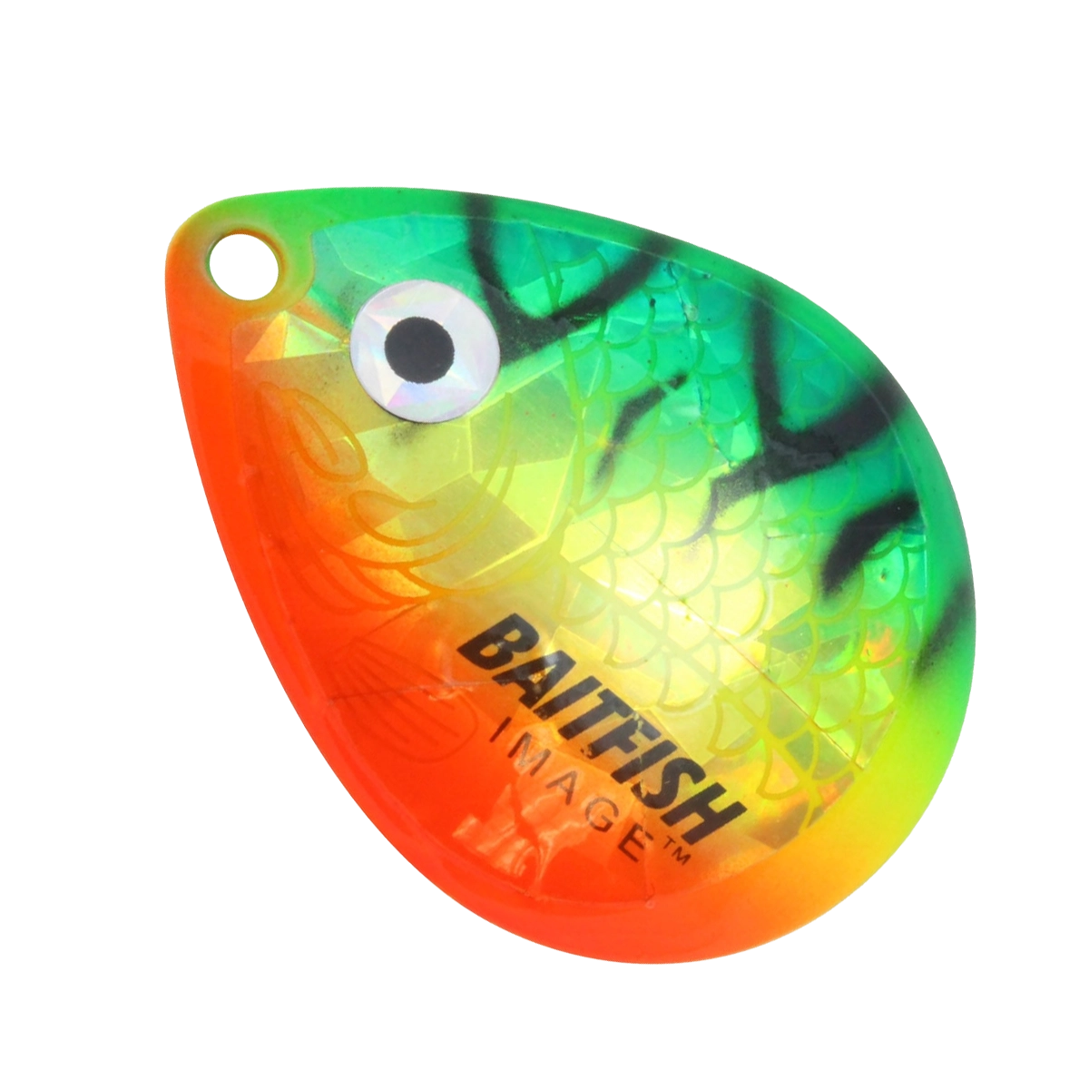 Northland Baitfish-Image Colorado Blades – Seattle Fishing Company