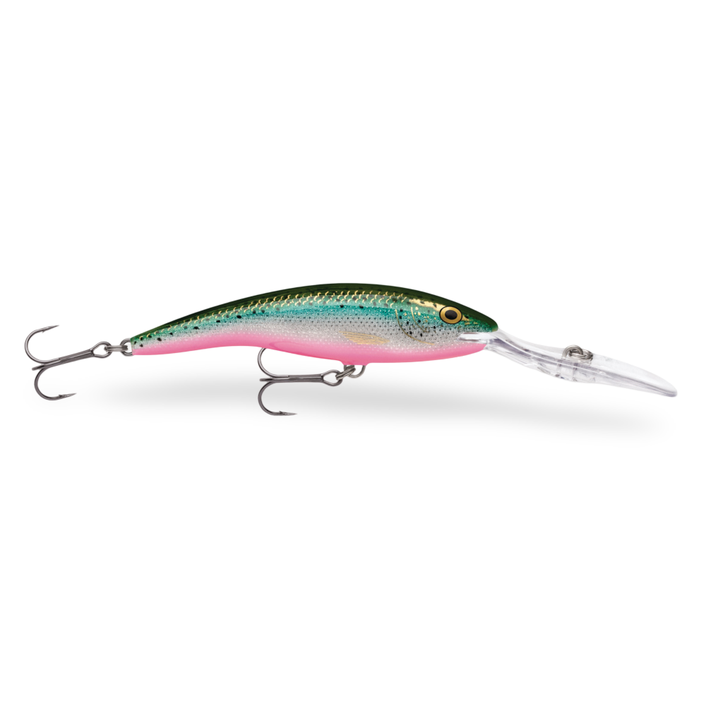 discount rapala fishing lures Rapala Deep Tail Dancer Rainbow Trout Flash; 3 1/2 in