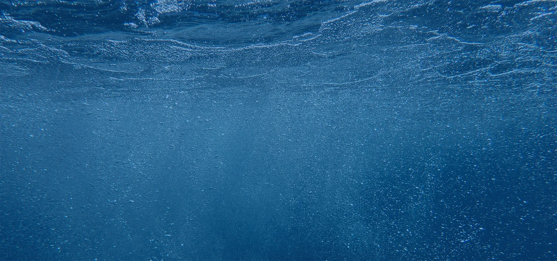 Seattle Fishing Co Background Banner