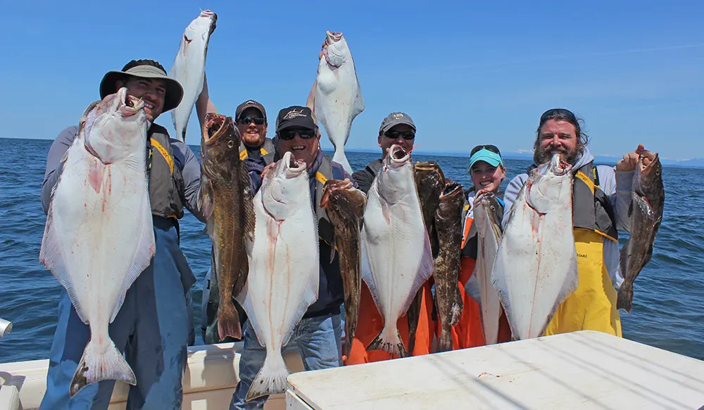 Our Favorite Halibut Fishing Rigs & Setups