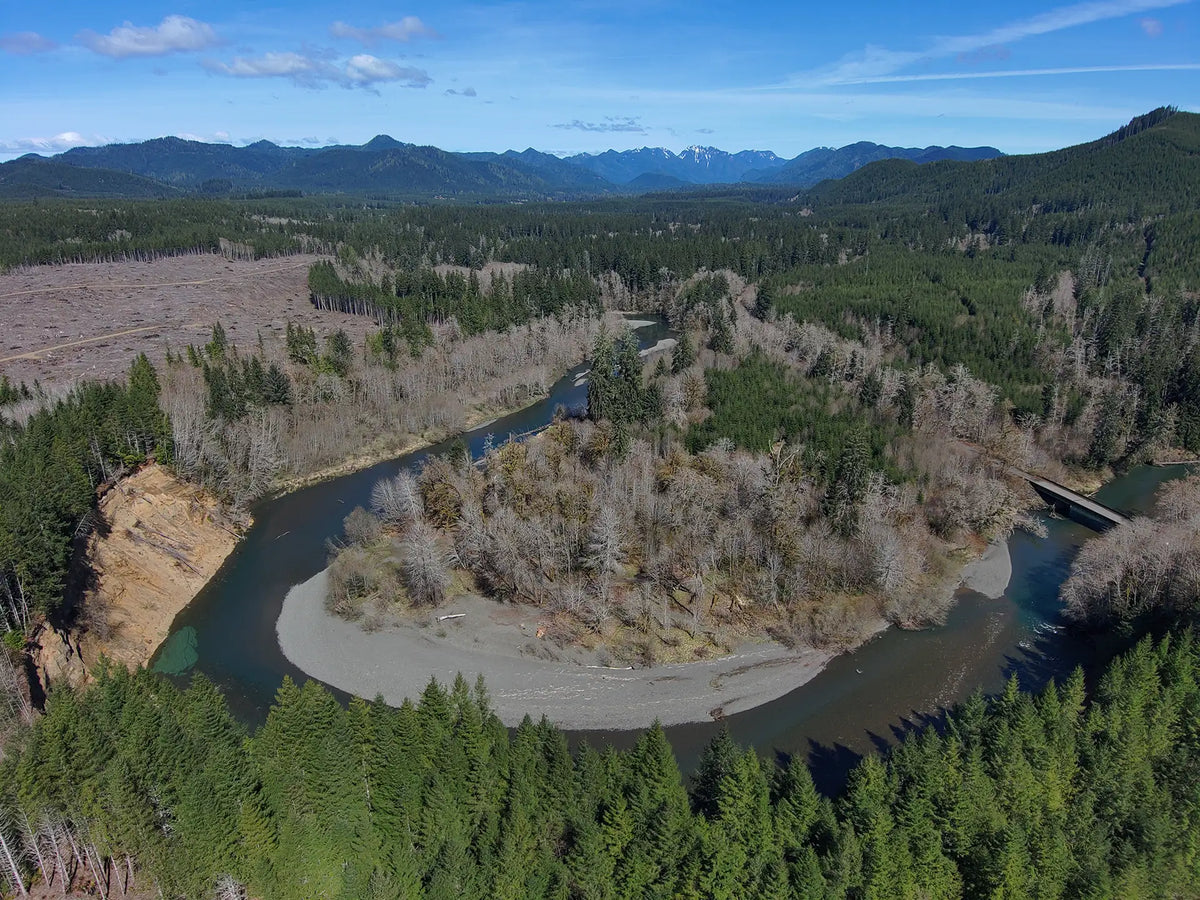 Fishing the Humptulips River
