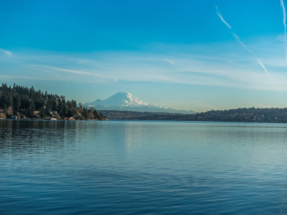 Fishing at Lake Washington