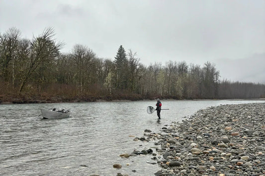 Skagit and Sauk River Steelhead Fishing opens Feb 1, 2025