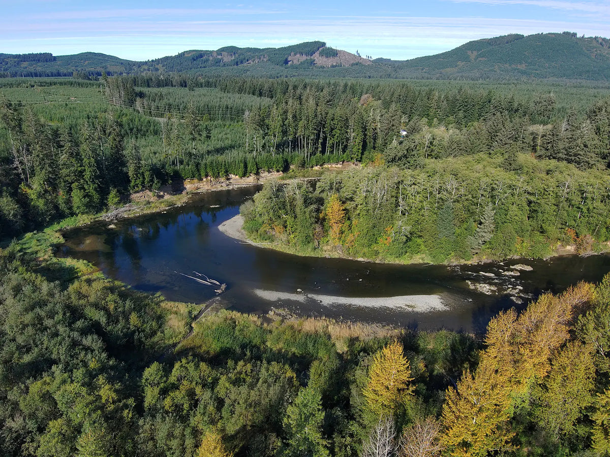 Fishing the Sol Duc River
