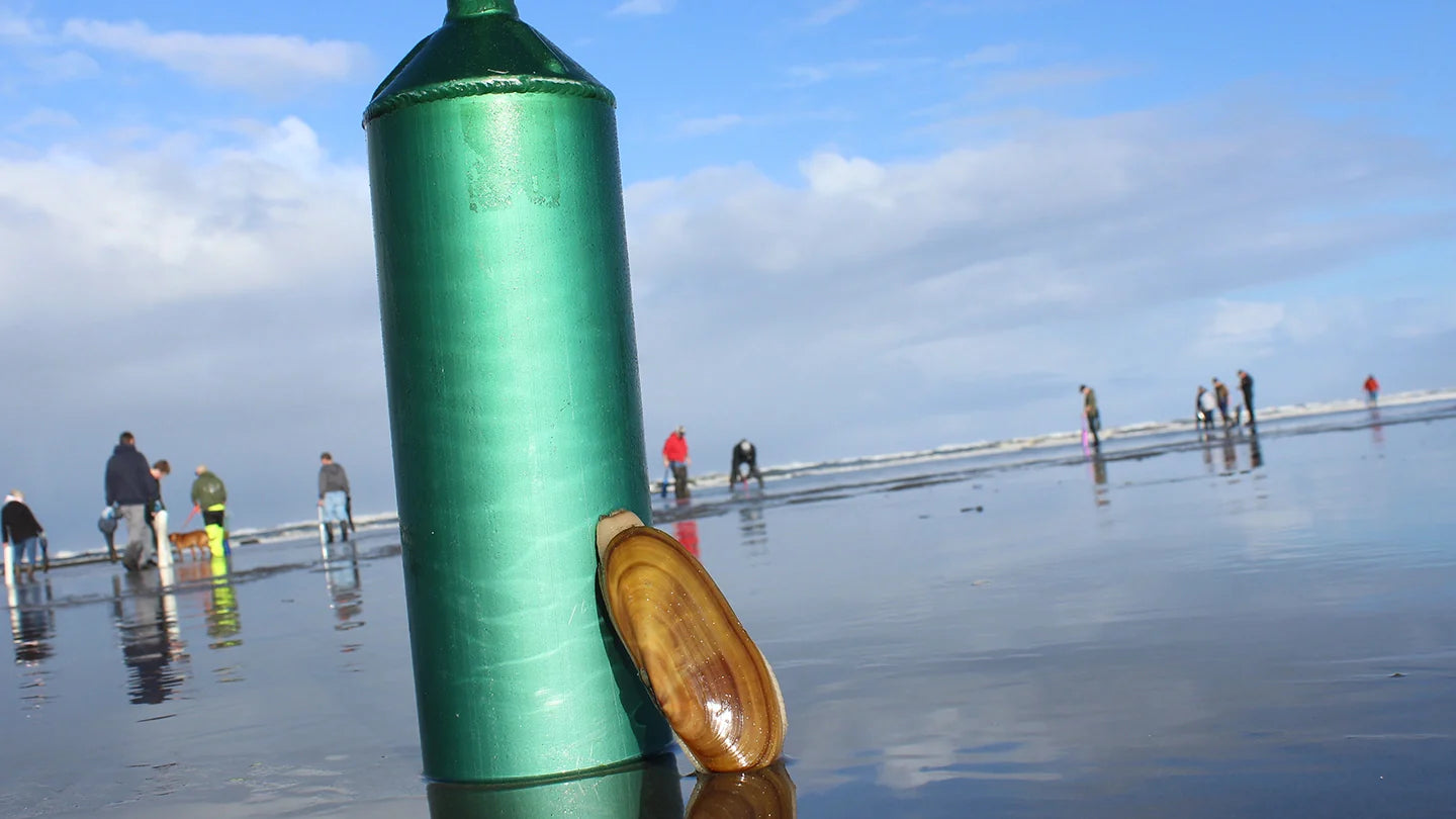 Coastal Razor Clamming Opens February 26th to March 4th – Seattle ...
