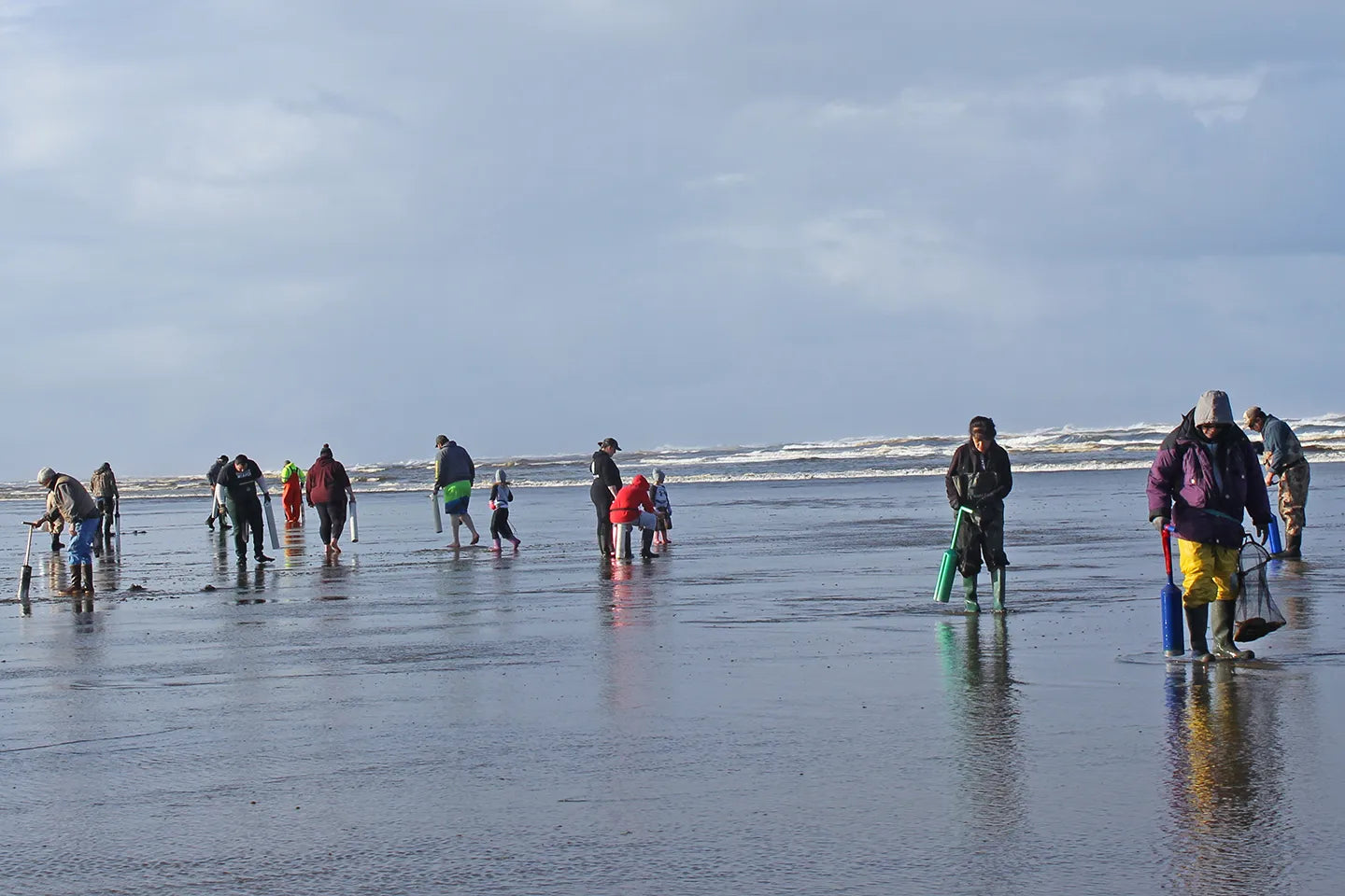 Razor Clamming begins again on February 24th, 2025 – Seattle Fishing ...