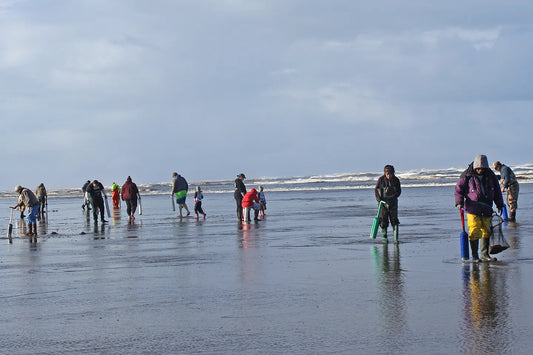 Razor Clamming begins again on February 24th, 2025