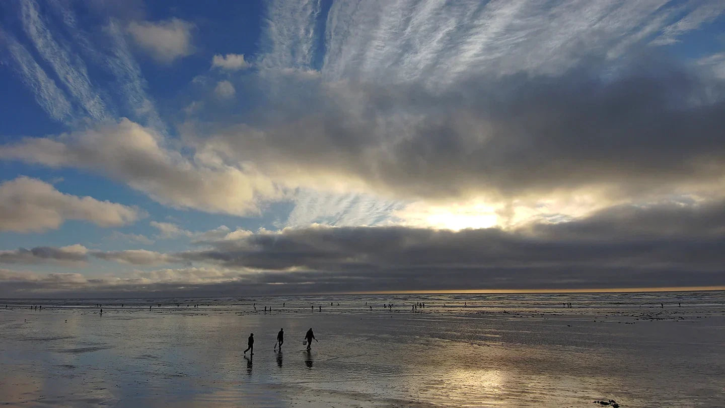 More Razor Clam digs announced starting on Valentine's Day 2026
