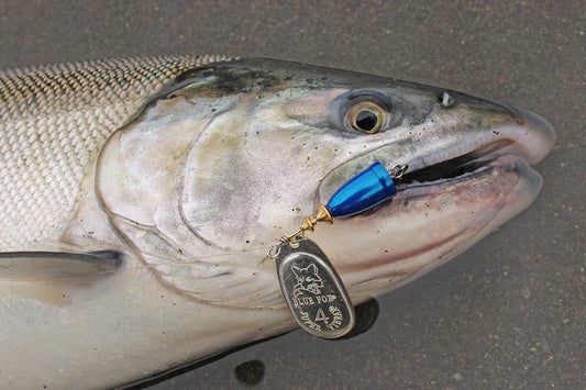 Best Coho Salmon Fishing Lures