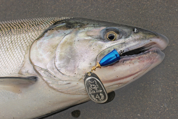 Our Best Lures for Coho Salmon Fishing in Rivers