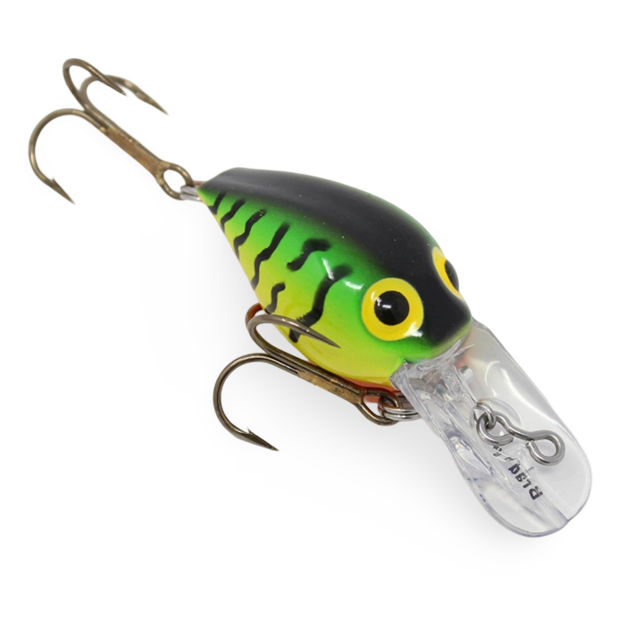 Brad's Wee Wigglers