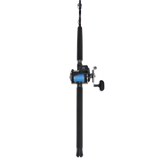 Daiwa Harrier Sealine Bottomfish Jigging Combo