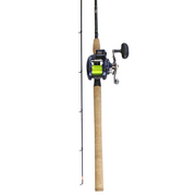 Daiwa Lexa Salmon Mooching Combo – Seattle Fishing Company