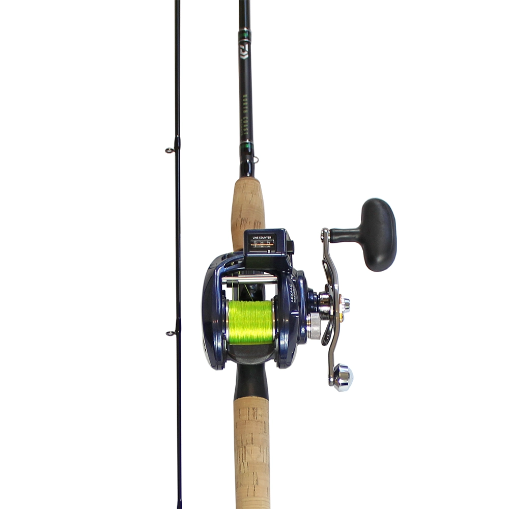 daiwa 270 mooching reel Daiwa Lexa Salmon Mooching Combo