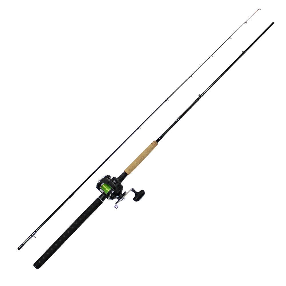 Daiwa Salmon Trolling Combo Sealine LC