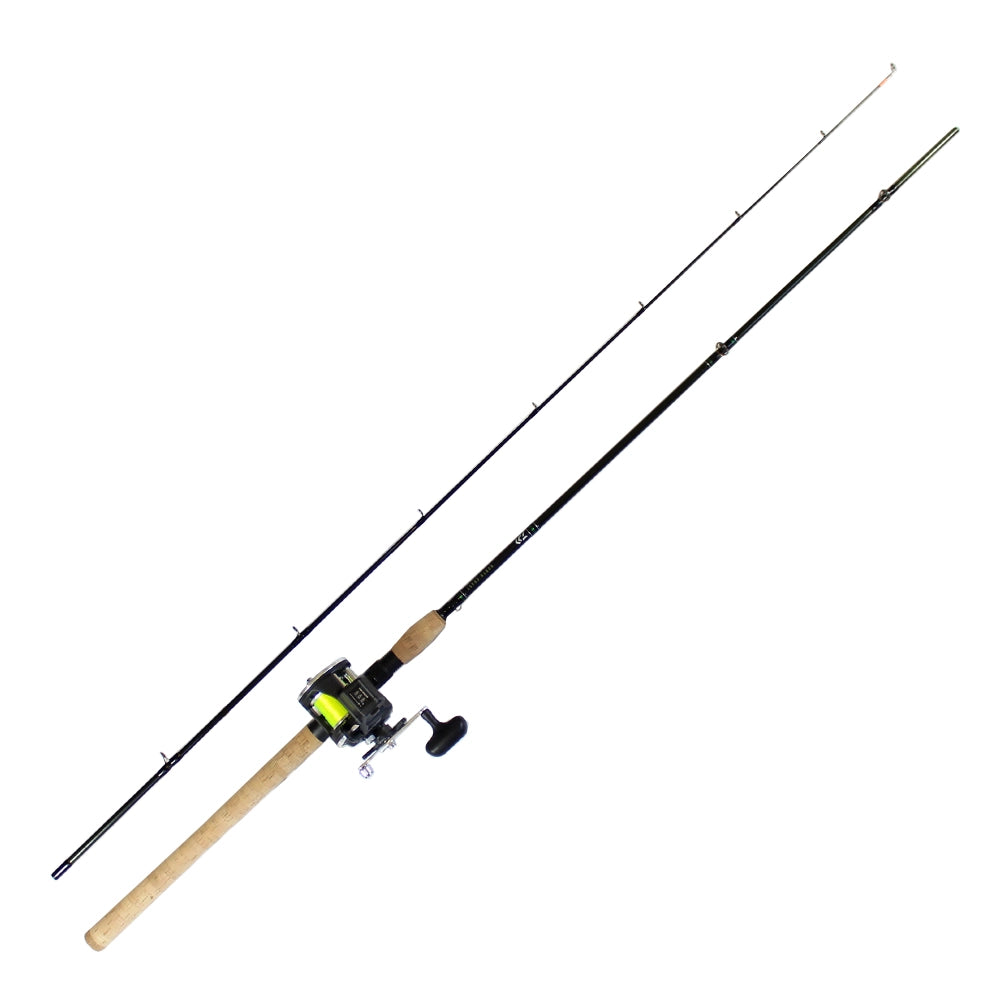 Daiwa Sealine Salmon Mooching Rod Reel Combo