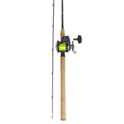 Daiwa Sealine Saltwater Salmon Mooching Rod Reel Combo