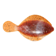 Fishermans Gold Flounder Pounder 3 Pack Rootbeer Float