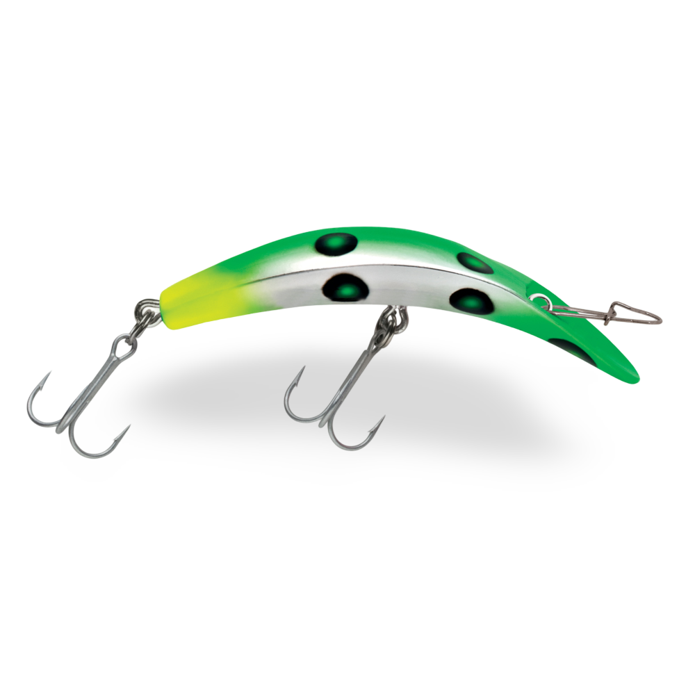 Our Best Lures for Alaskan Silver Salmon in 2026 Seattle Fishing Company Our Best Lures for Alaskan Silver Salmon in 2026 Seattle Fishing Company
