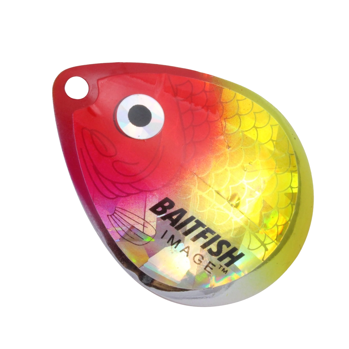 Northland Baitfish Image Colorado Blade HCDCX-CL