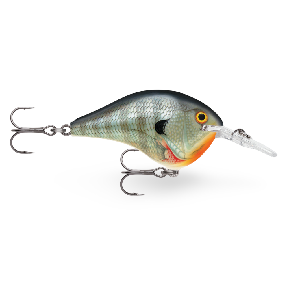 Rapala DT Dives To Series Bluegill BG