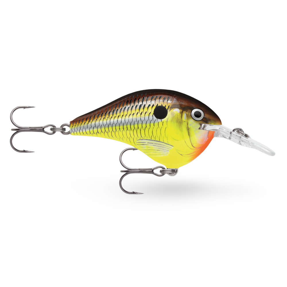 Rapala DT Dives To Series Hot Mustard HM