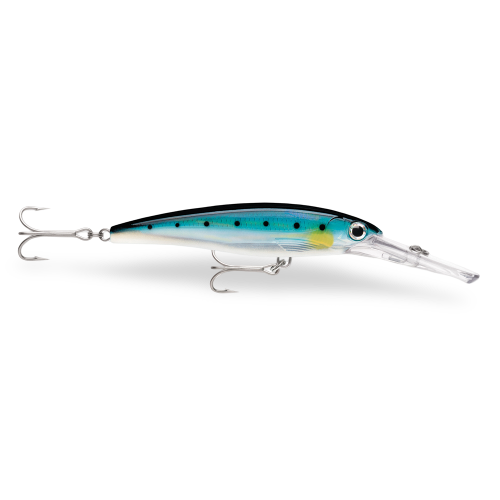 Rapala X-Rap Magnum Blue Sardine BSRD