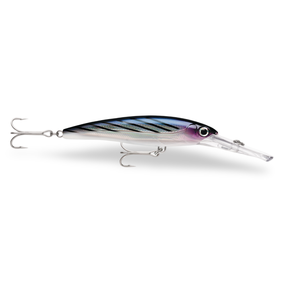 Rapala X-Rap Magnum Bonito BTO