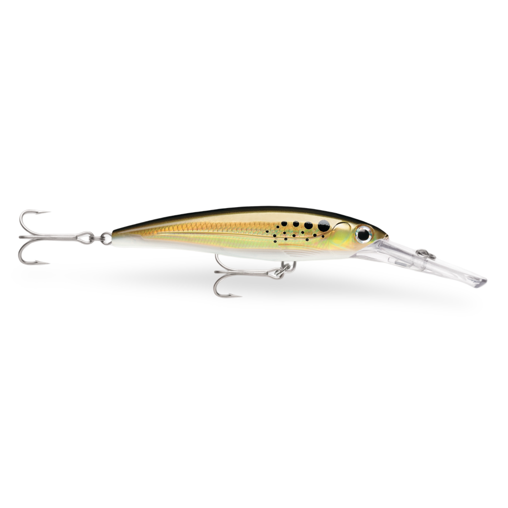 Leurre hybride X-RAP PETO 20 cm de RAPALA Leurre hybride X-RAP PETO 20 cm de RAPALA