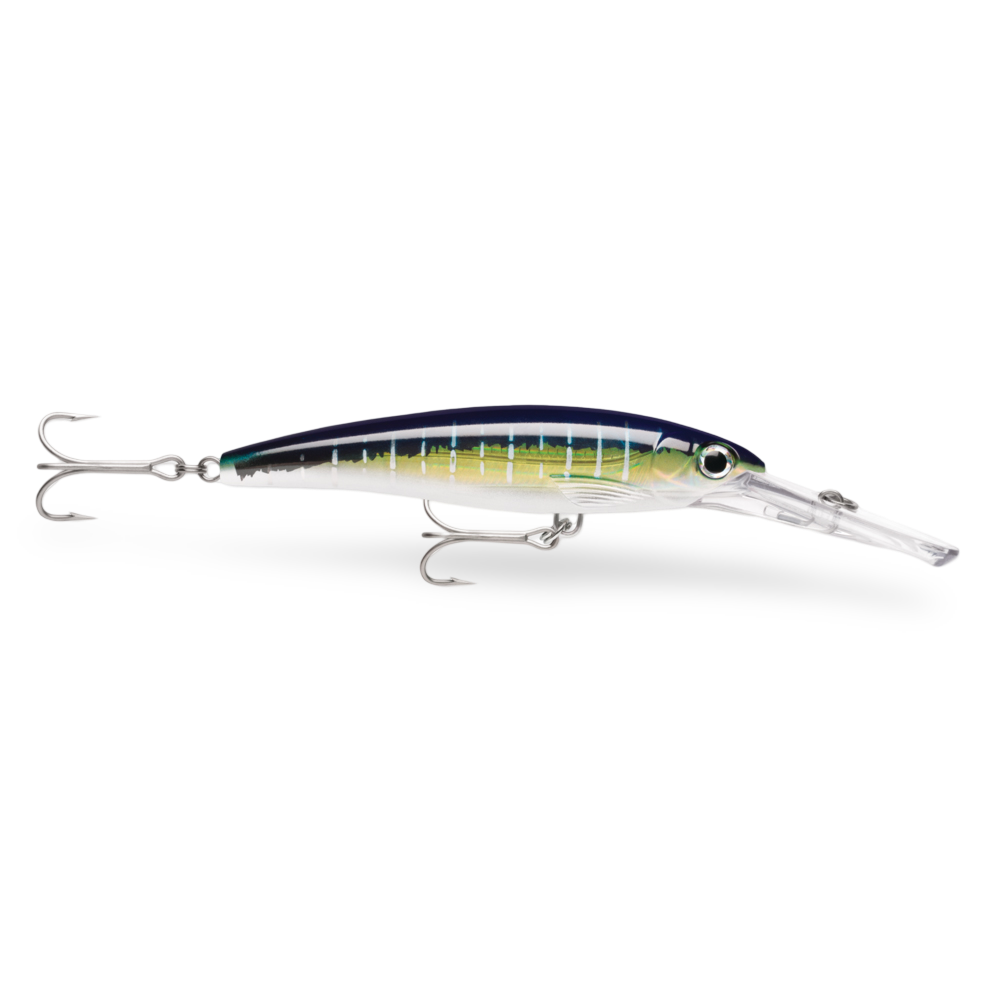 Rapala X-Rap Magnum Sailfish UV SFU