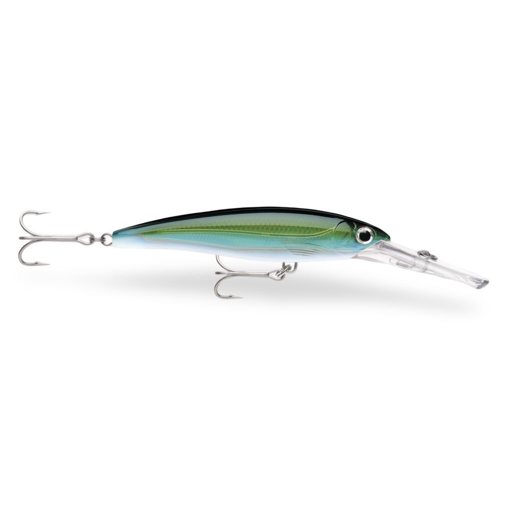 Rapala X-Rap Magnum Yellowfin Tuna YFT