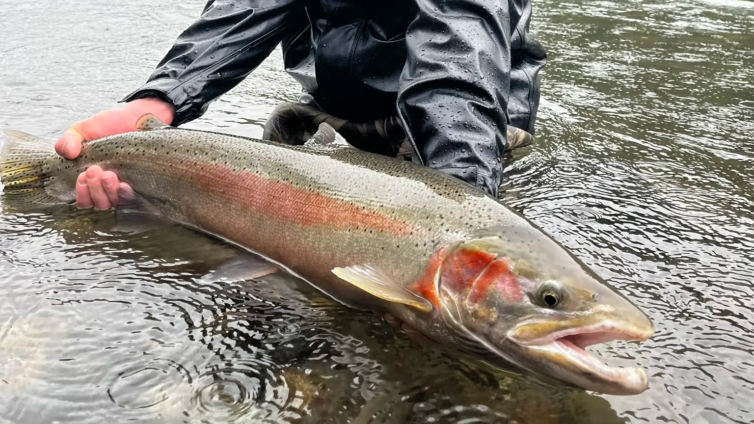 Steelhead Float Fishing Setup Rigging