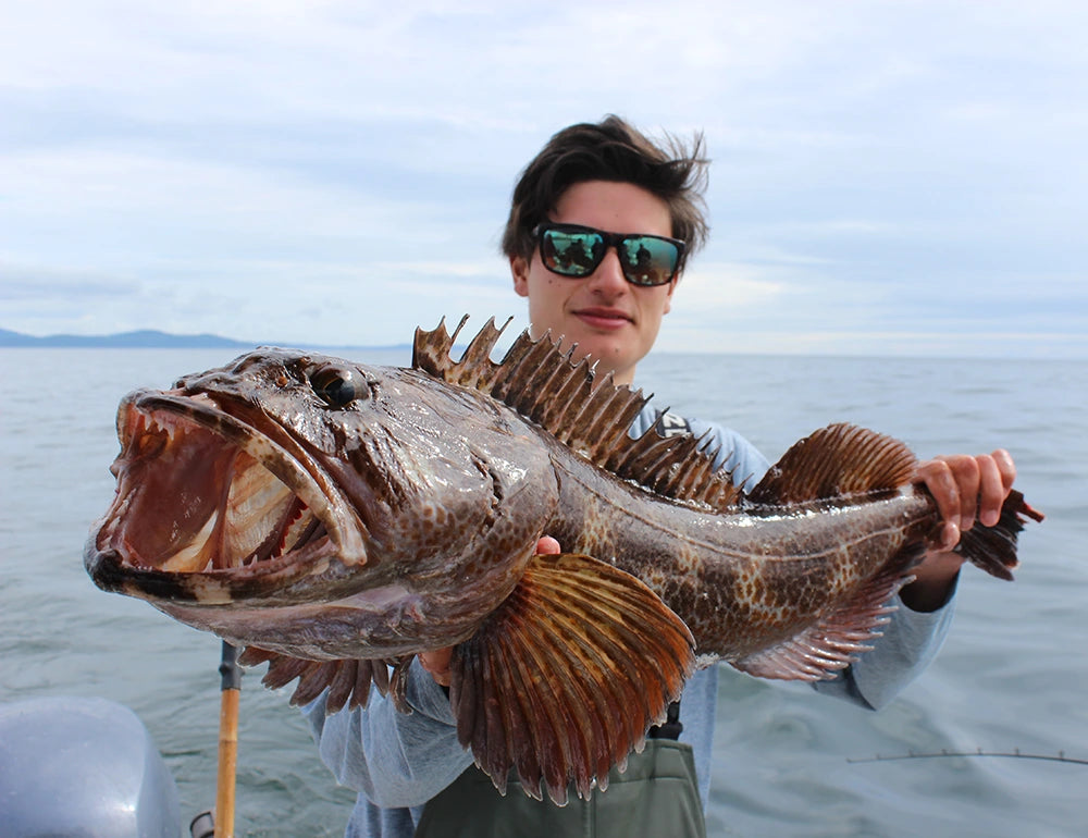 Washington Lingcod Fishing 2025