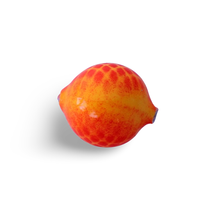 Yakima Bait Lil Corky Egg Fluorescent