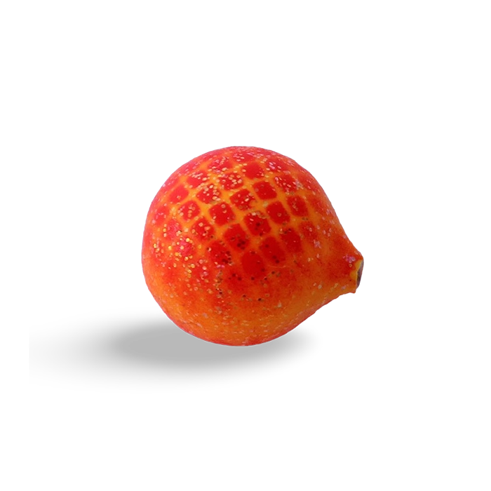 Yakima Bait Lil Corky Glitter Egg Flo