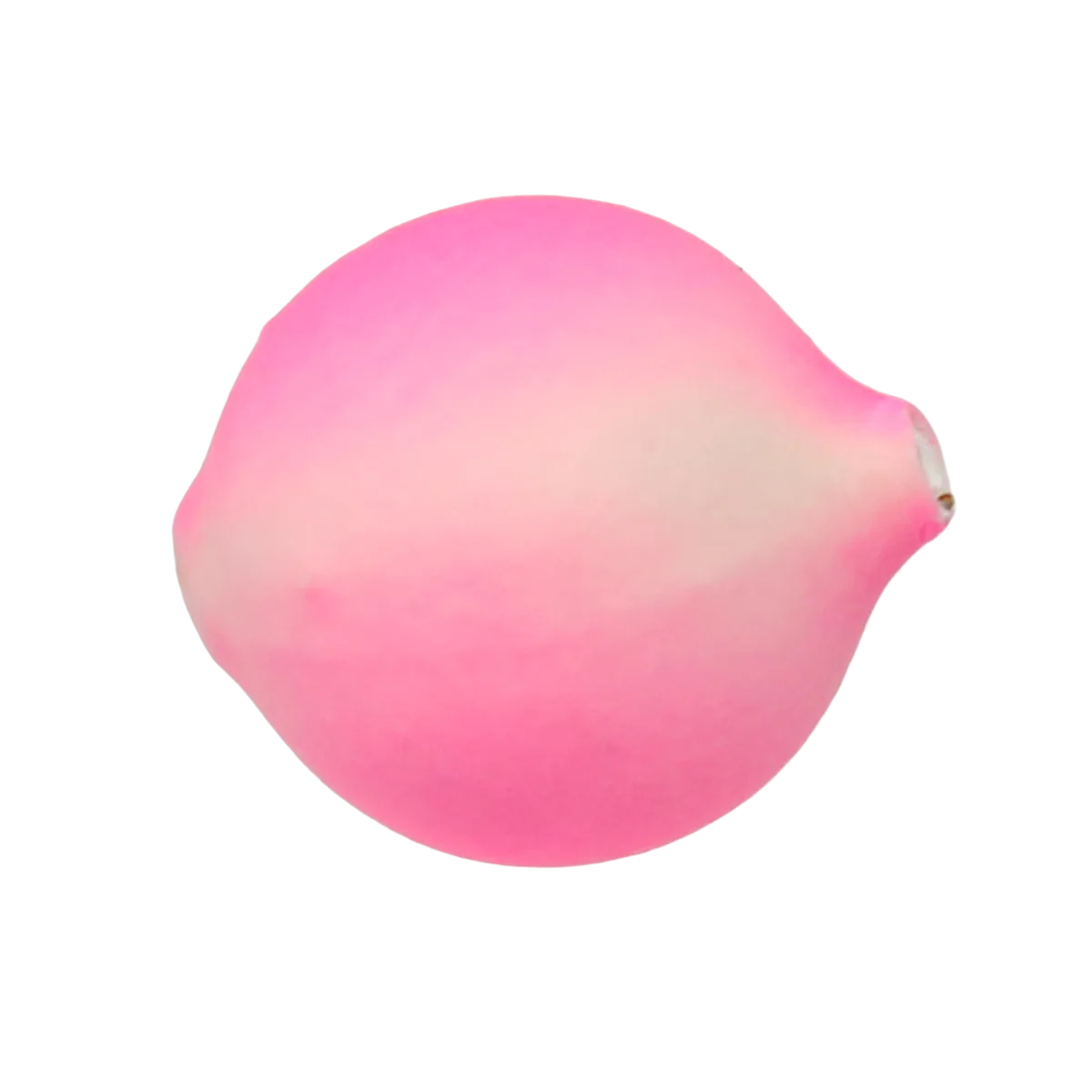Yakima Bait Lil Corky Luminous Pink