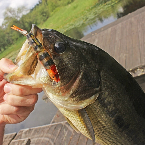 bass fishing lures