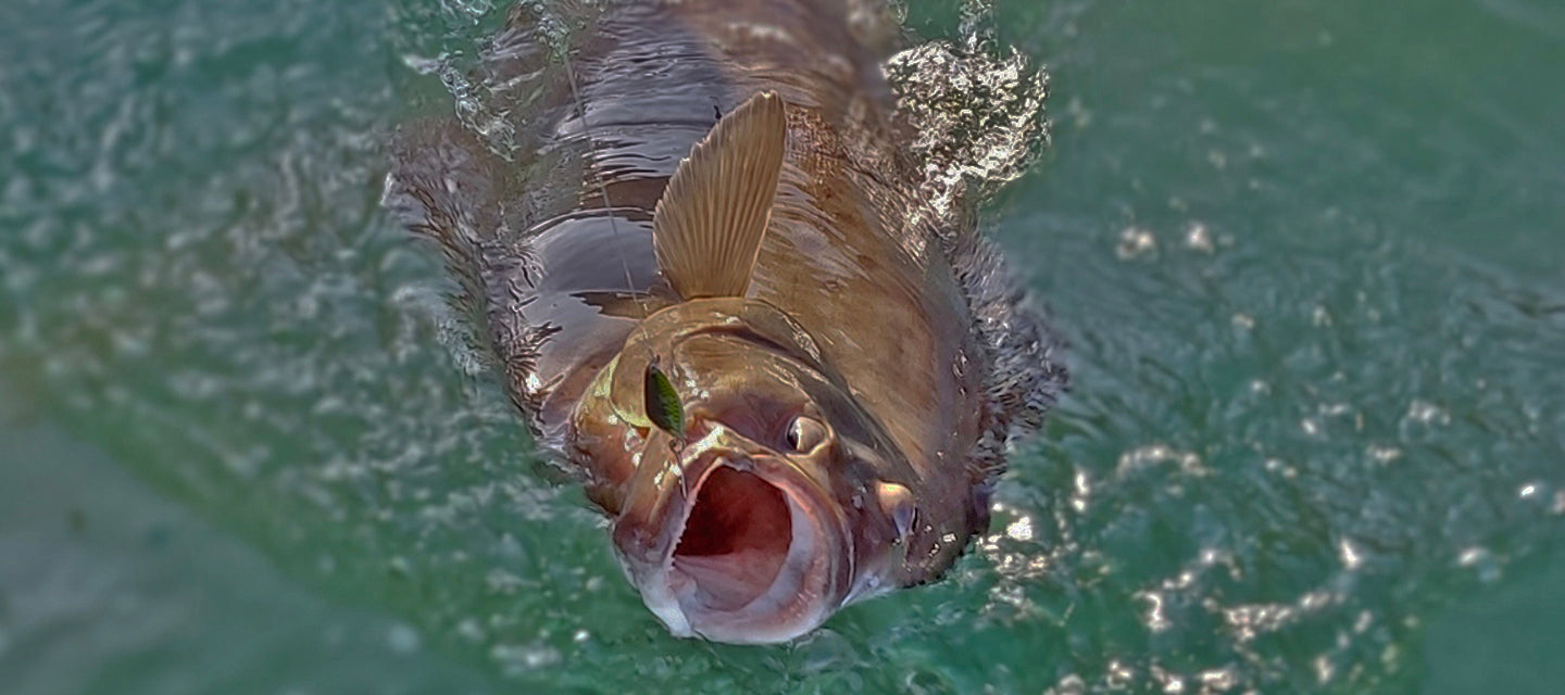 Seattle Fishing Company